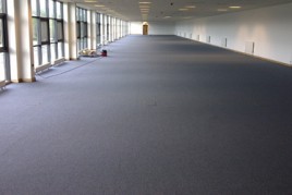 Commercial Carpet