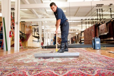 Oriental Area Rug