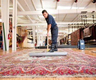 Oriental Area Rug
