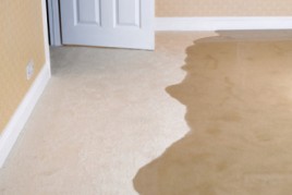 Water Damage